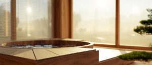 Expérience des Ryokans traditionnels : hospitalité et Onsen
